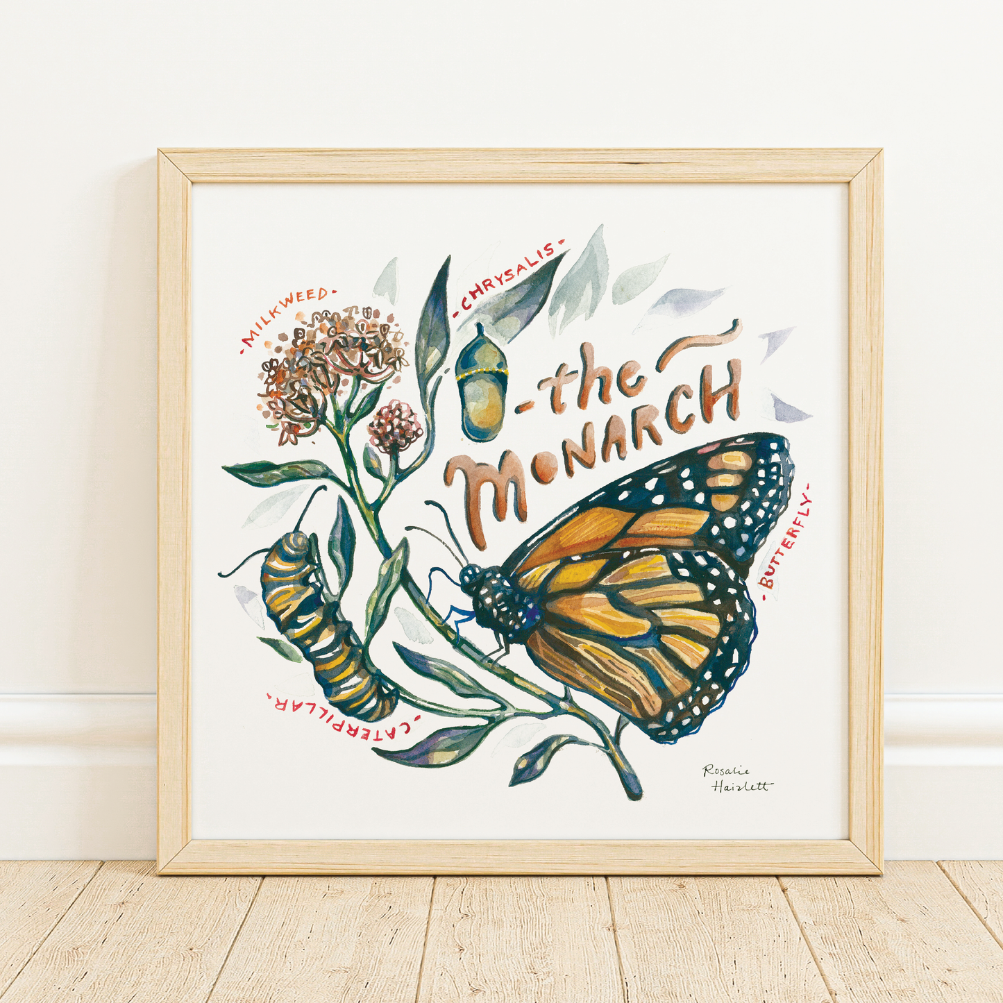 Monarch Butterfly Lifecycle Watercolor Art Print