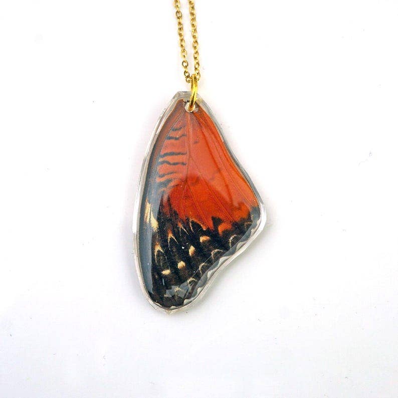 Cethosia Butterfly Wing Necklace