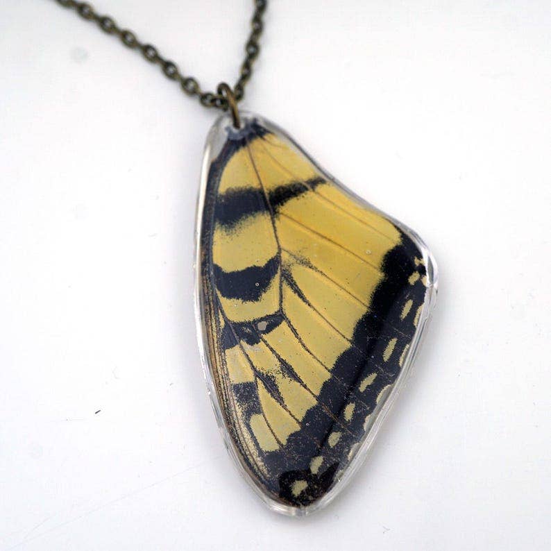 Eastern Tiger Swallowtail Wing Necklace