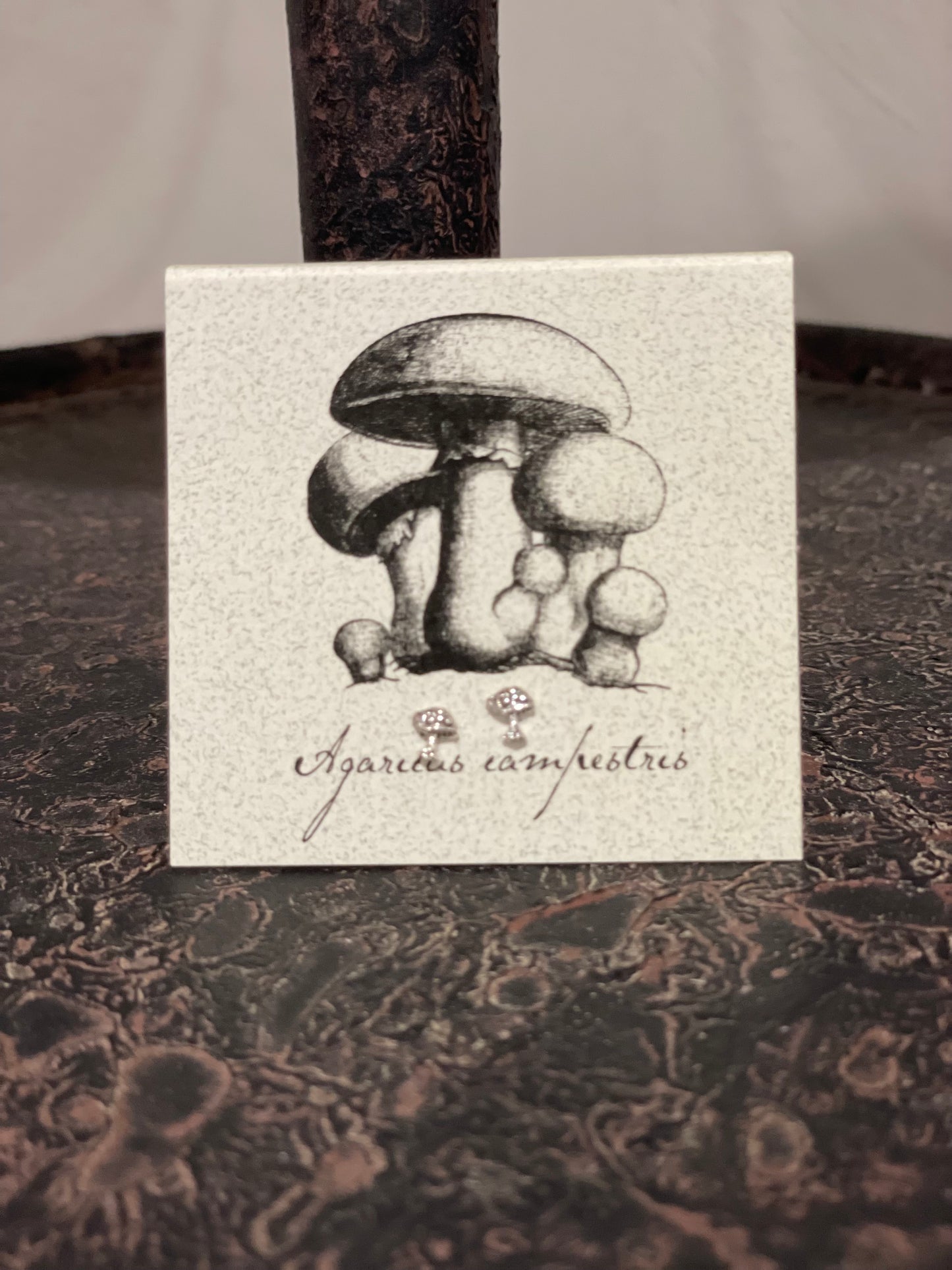 Natural History Collection