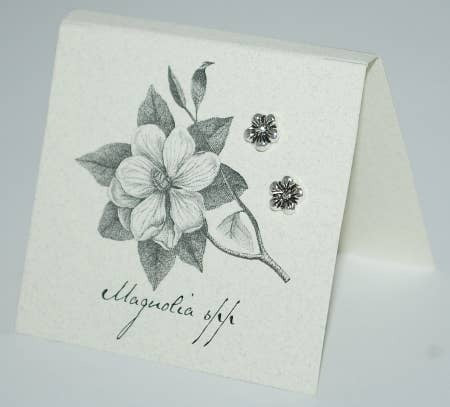 Natural History Collection