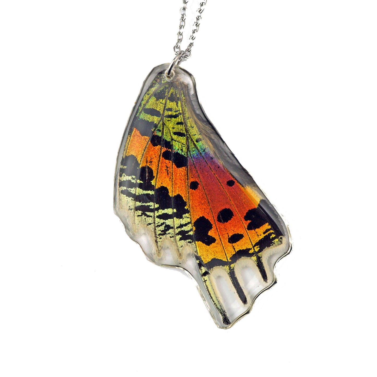 Sunset Moth Hind Wing Necklace