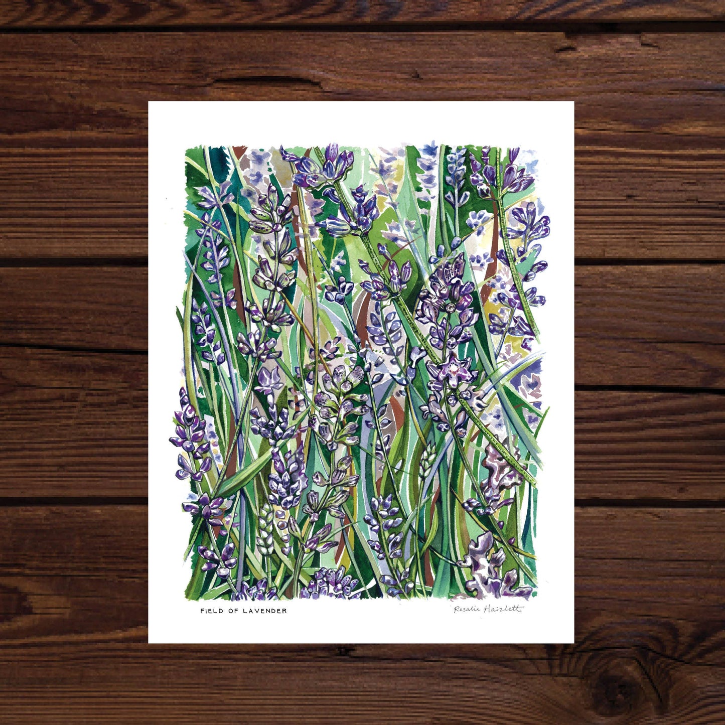 Field of Lavender Watercolor Art Print