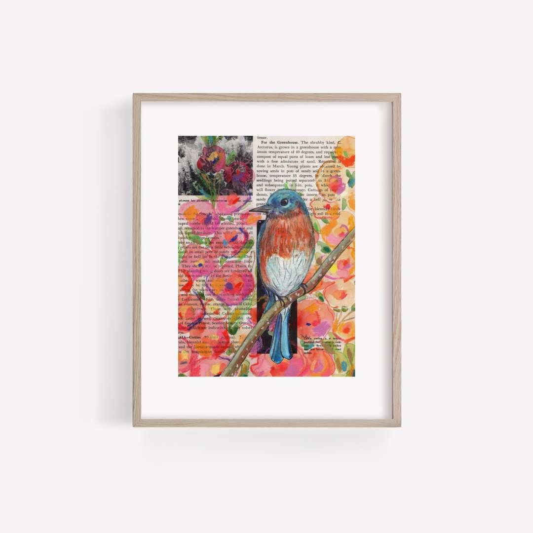 Eastern Bluebird Mixed Media Bird Print