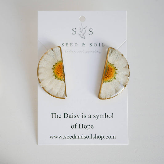 Seed & Soil Botanical Jewelry - Cathedral Earrings: Baby’s Breath