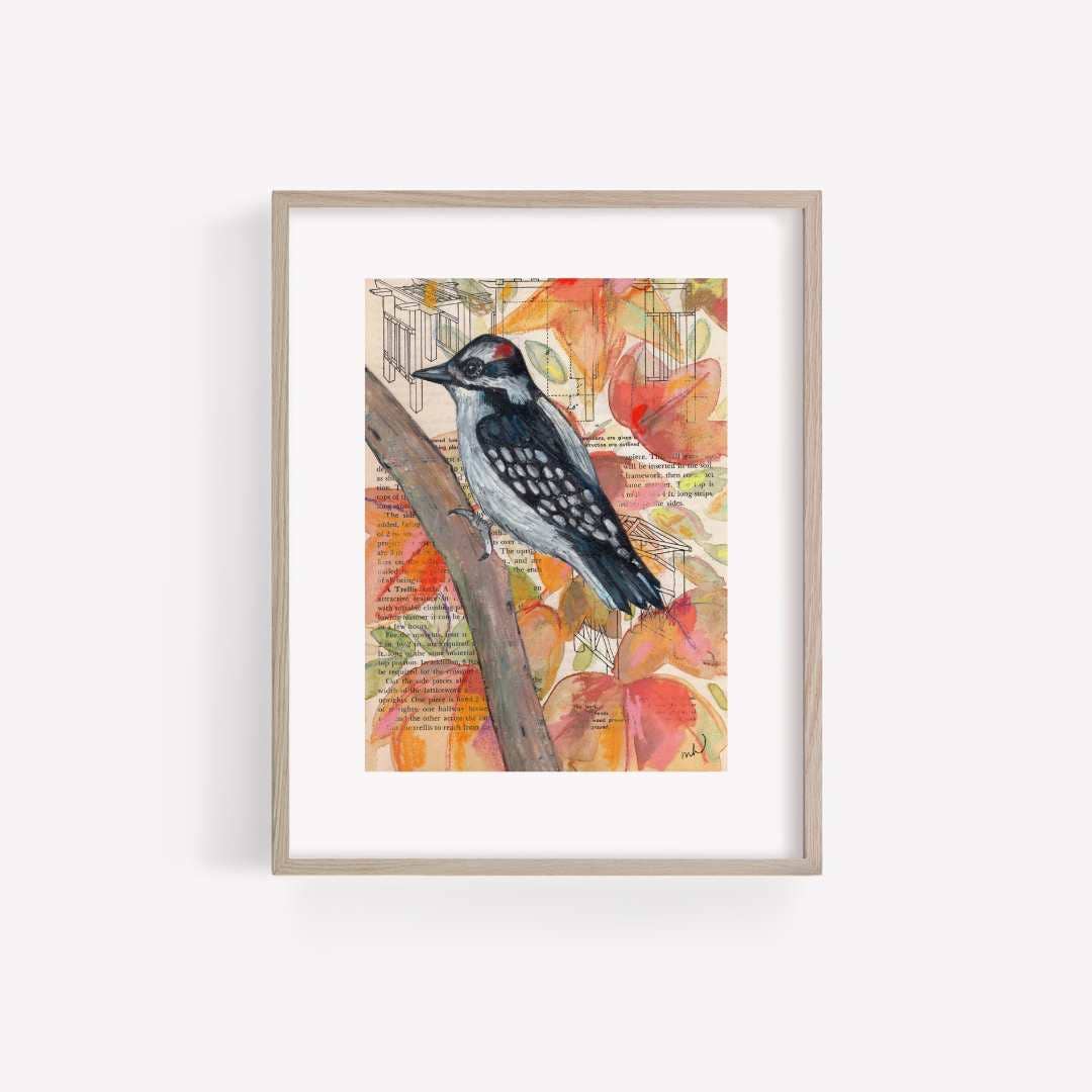 Hairy Woodpecker Mixed Media Bird Print