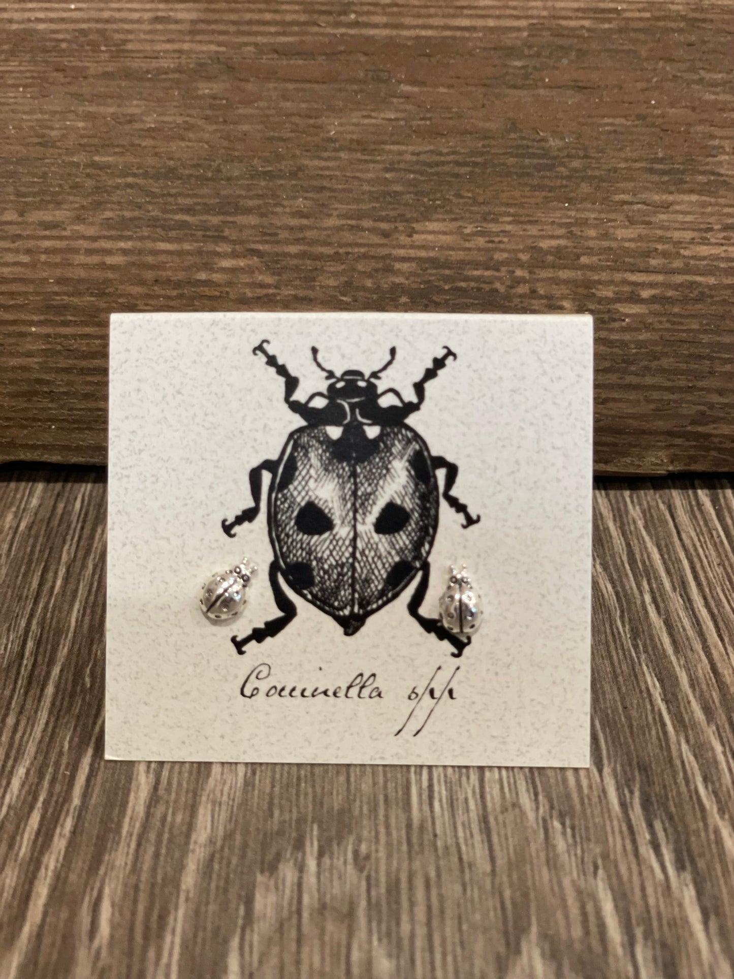 Natural History Collection