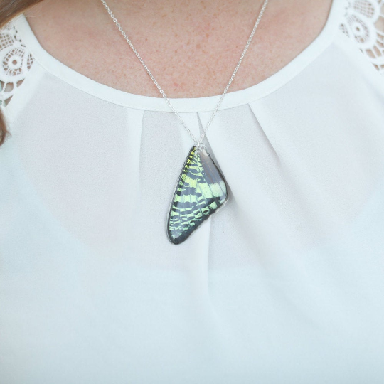 Sunset Moth Forewing Necklace