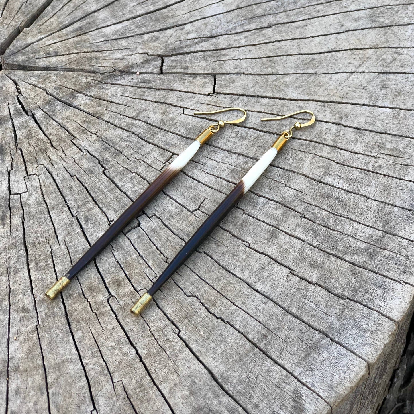 Porcupine Quill Earrings Black/Brown & Ivory, Brass