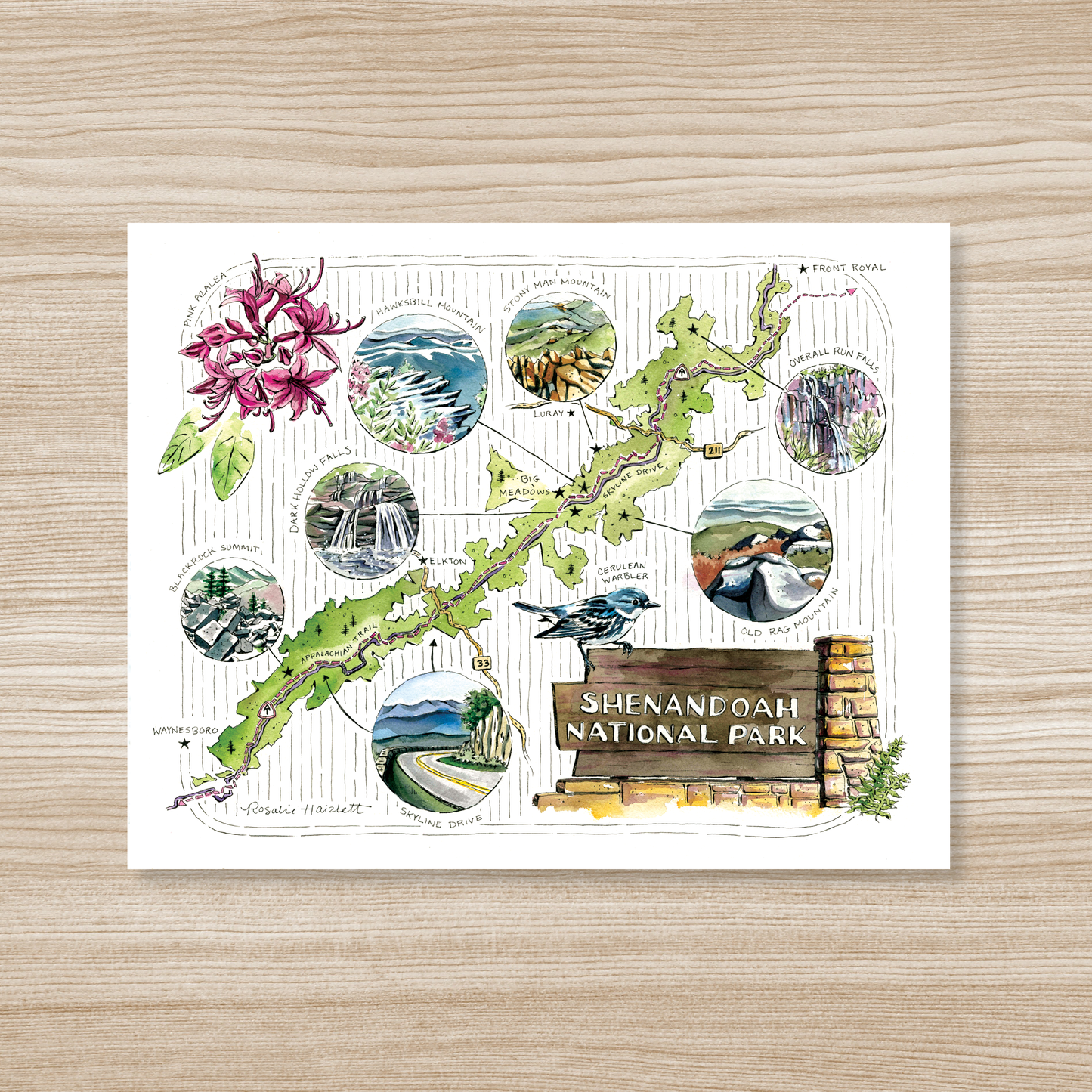 Shenandoah National Park Illustrated Map