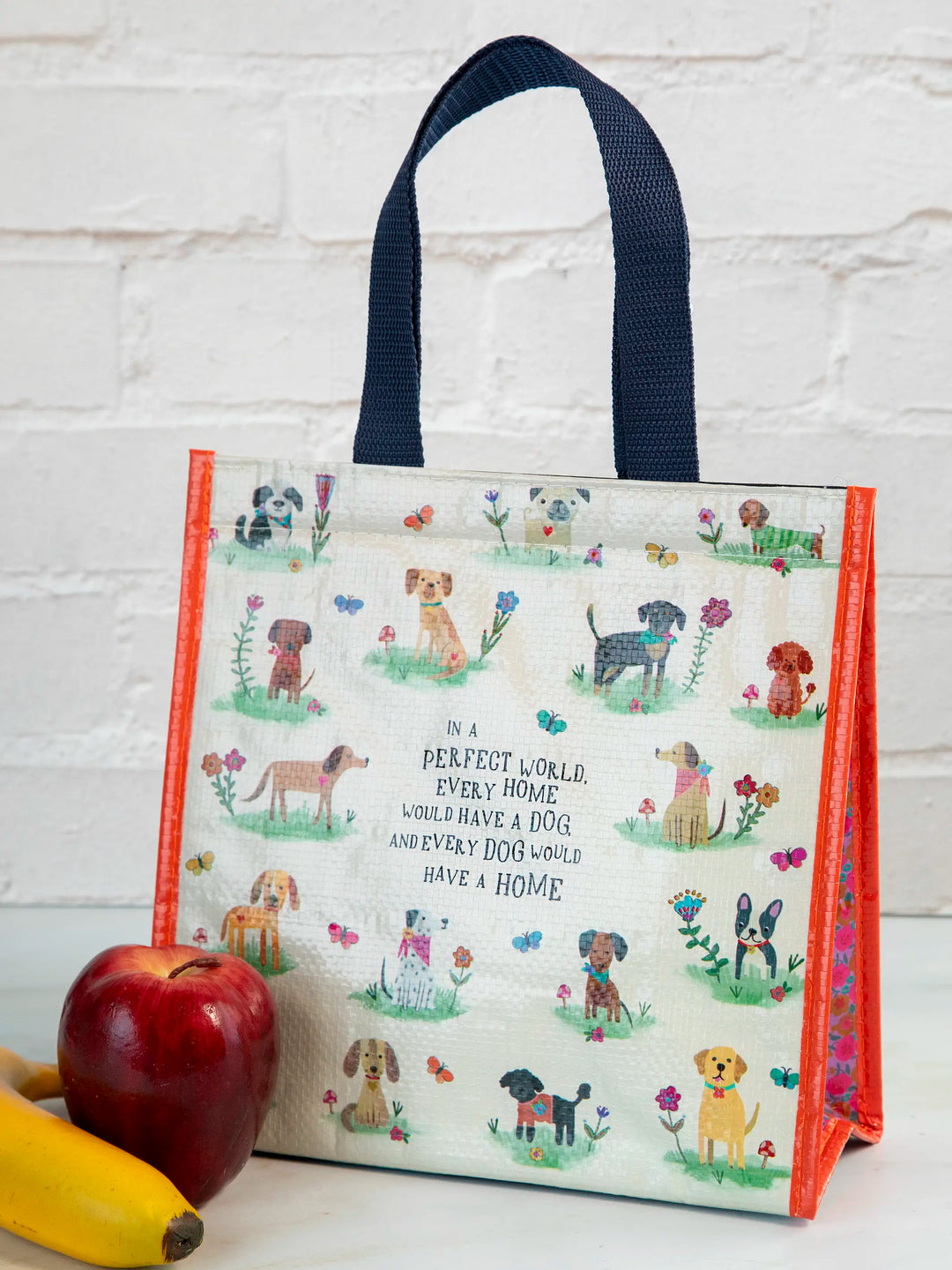 Insulated Lunch Bag