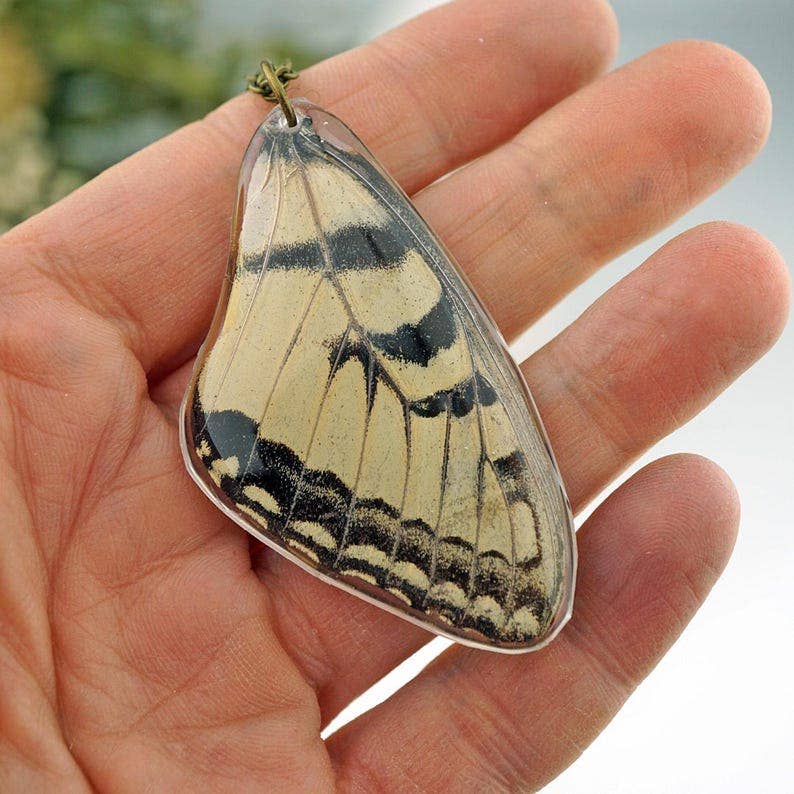 Eastern Tiger Swallowtail Wing Necklace