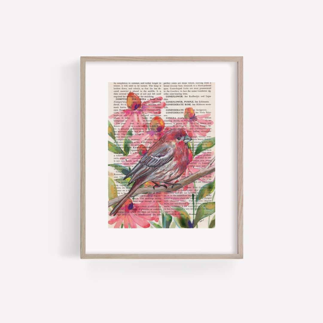 House Finch Mixed Media Bird Print