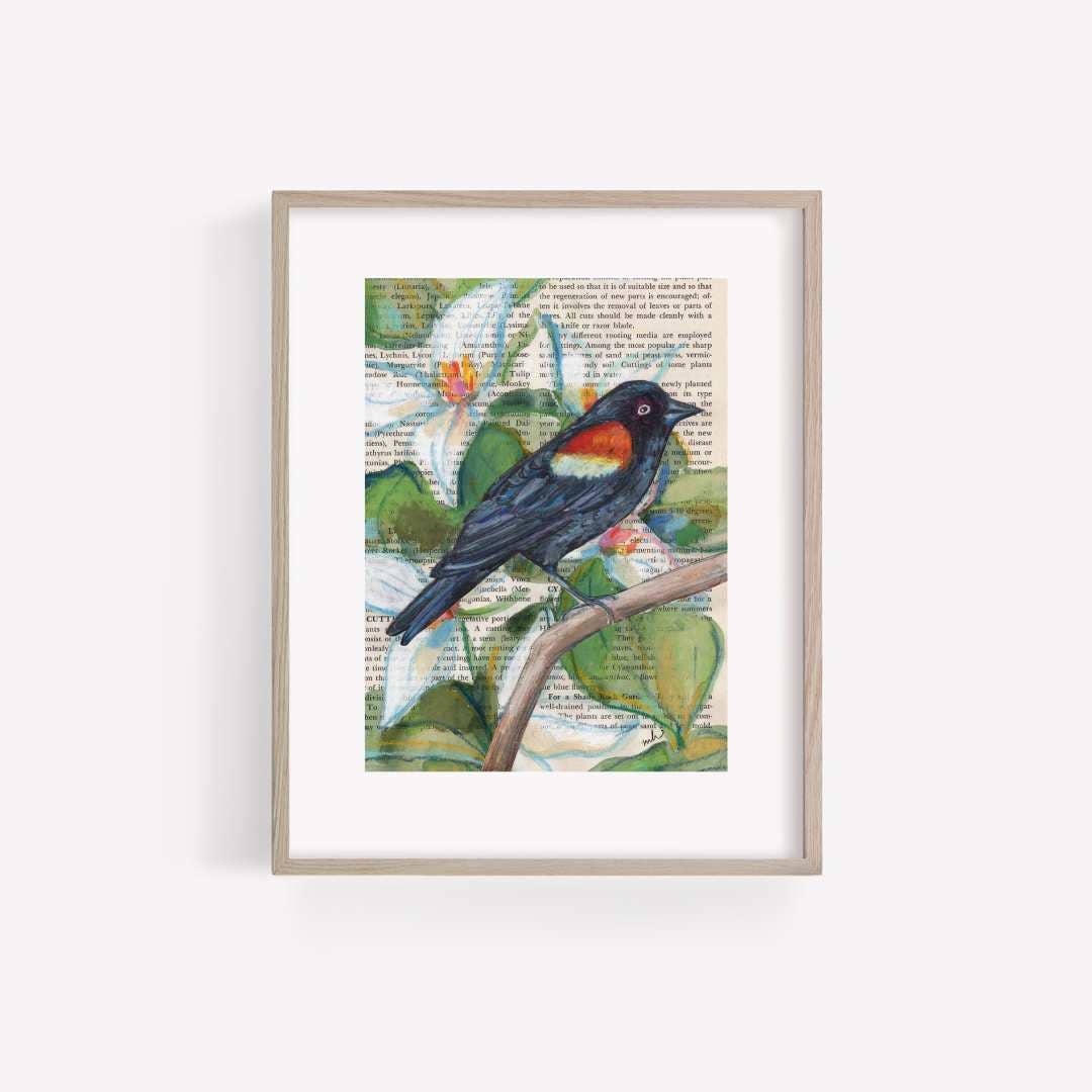 Red-Winged Blackbird Mixed Media Bird Print