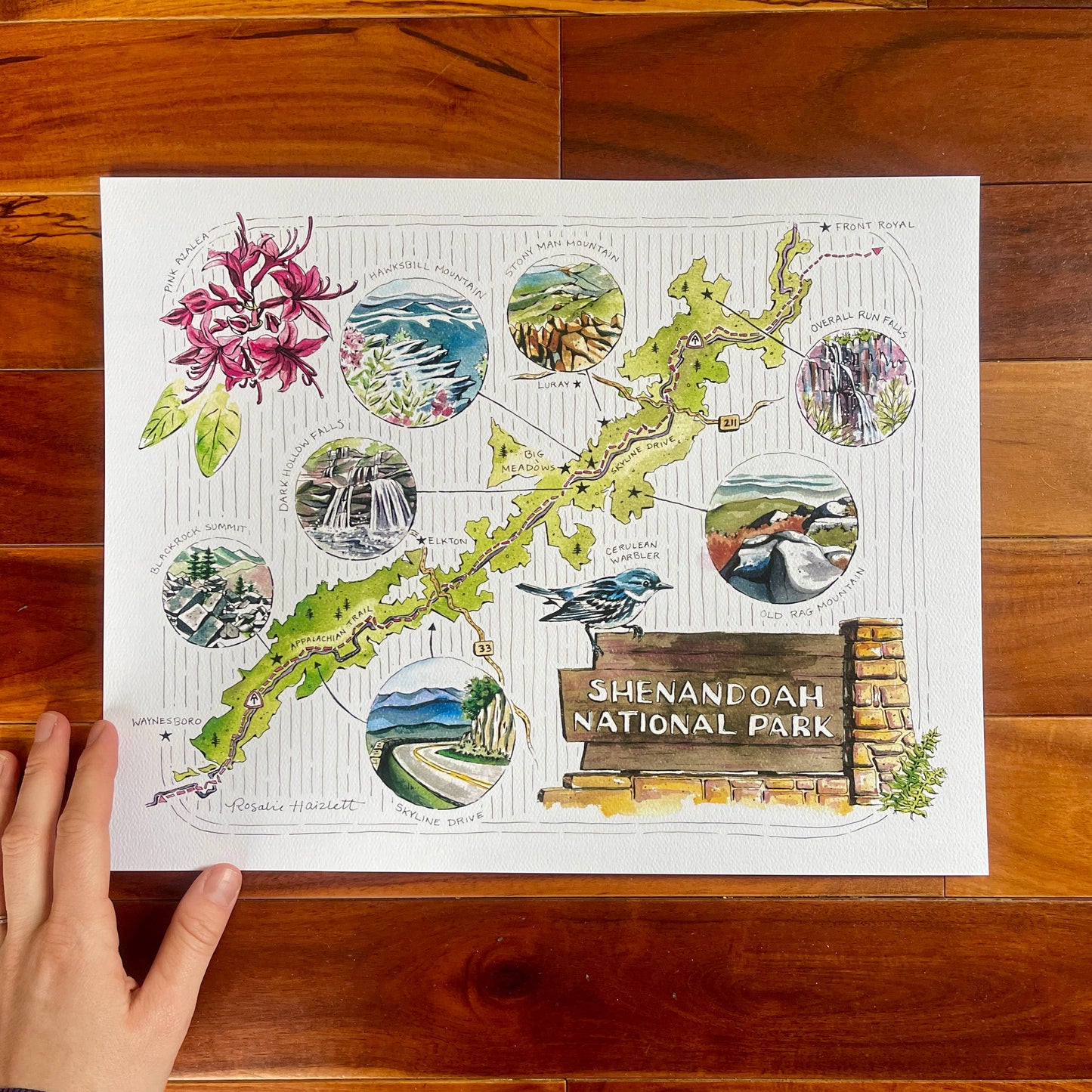 Shenandoah National Park Illustrated Map