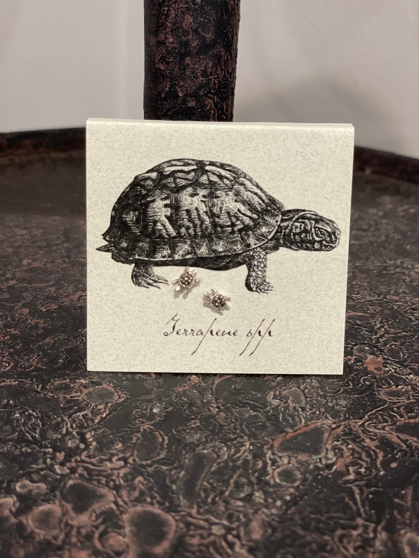 Natural History Collection