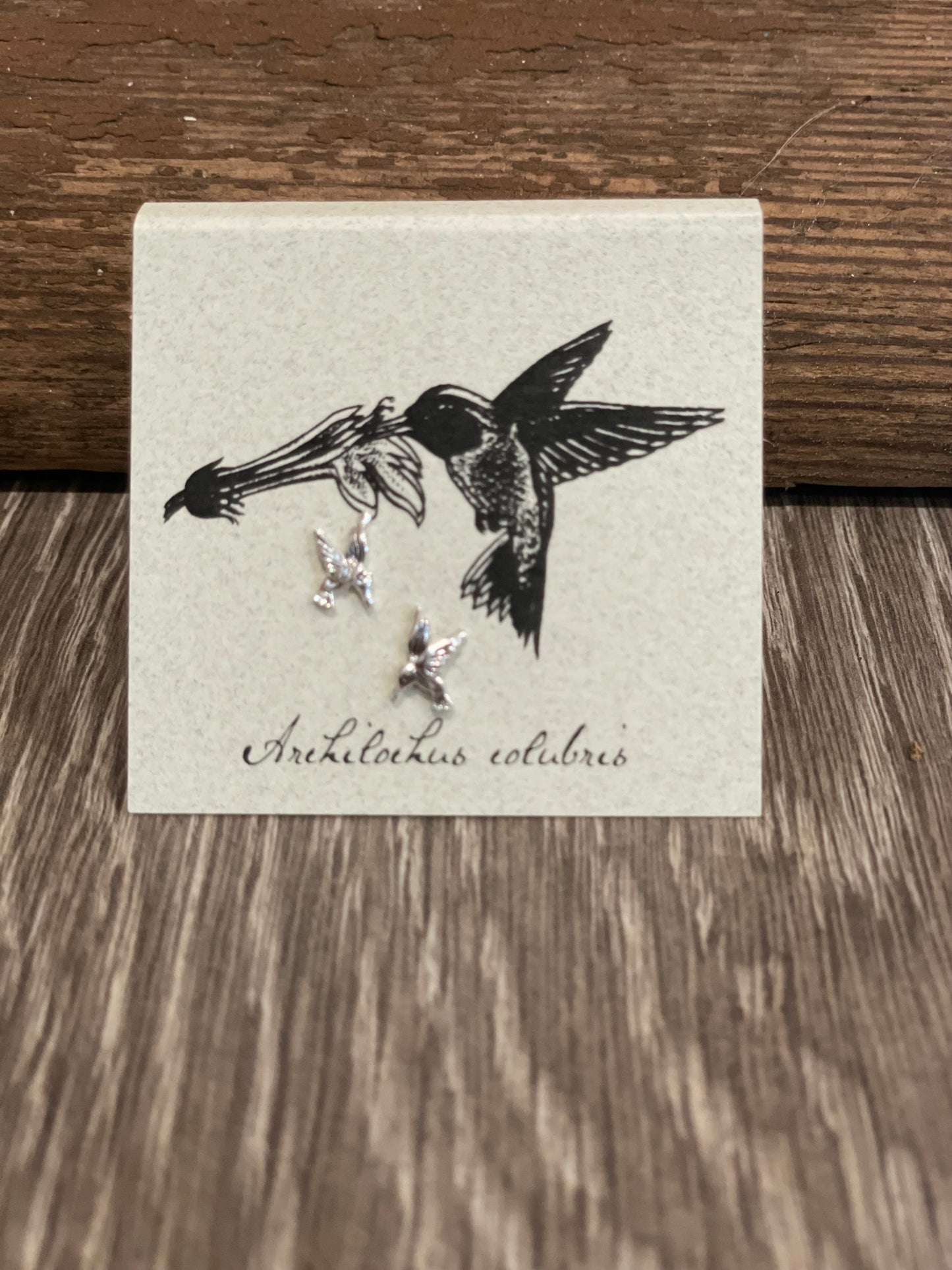 Natural History Collection