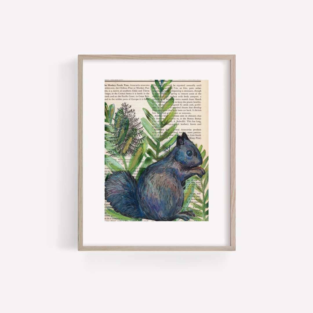Black Squirrel Mixed Media Bird Print