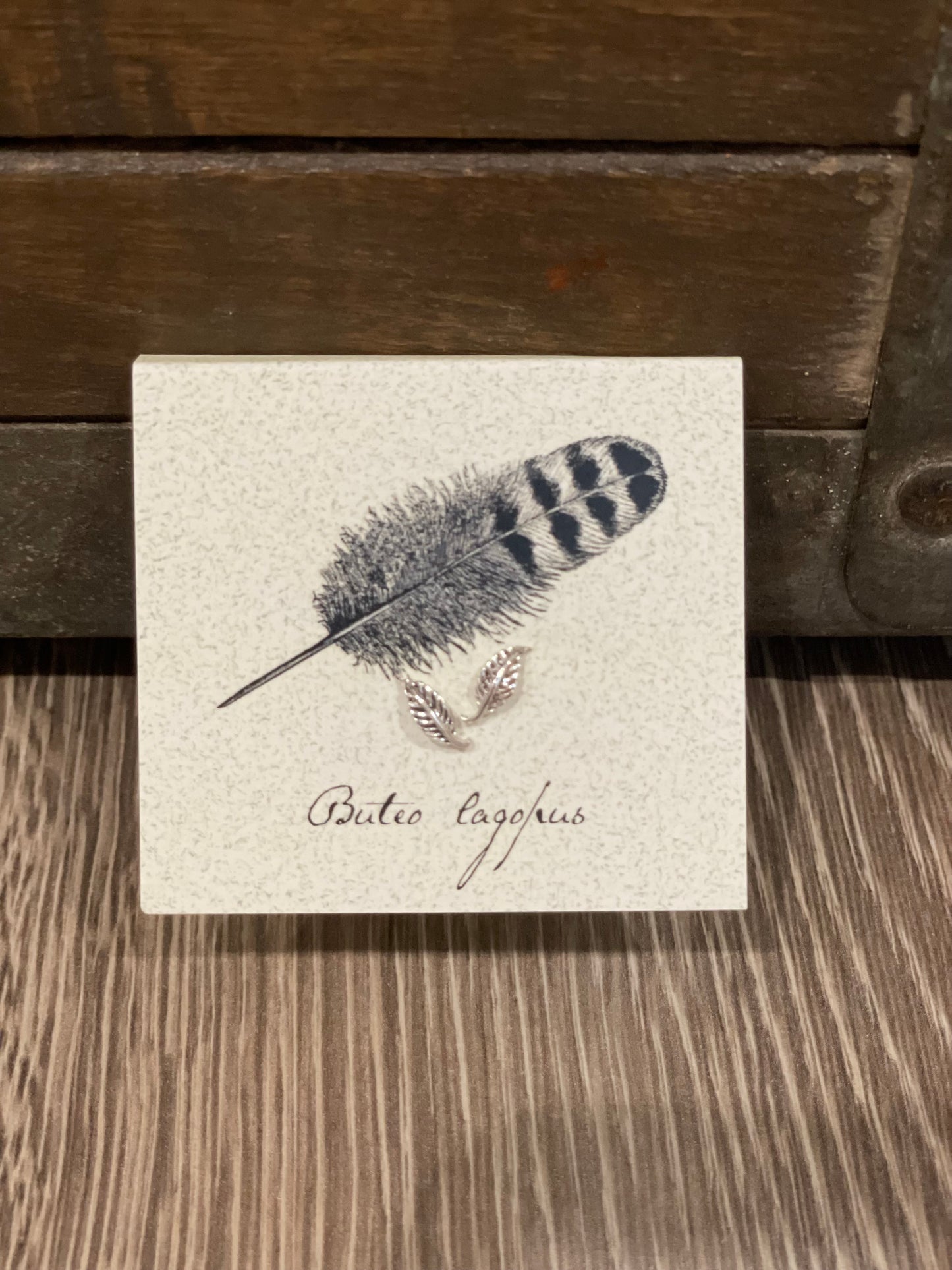 Natural History Collection