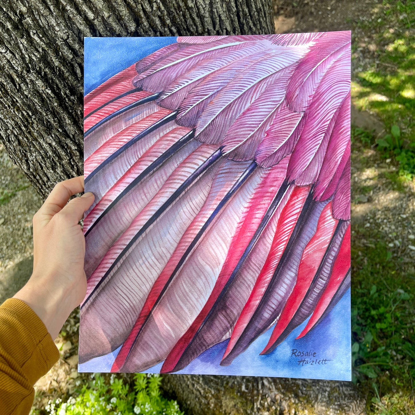 Northern Cardinal Wing - Watercolor Art Print