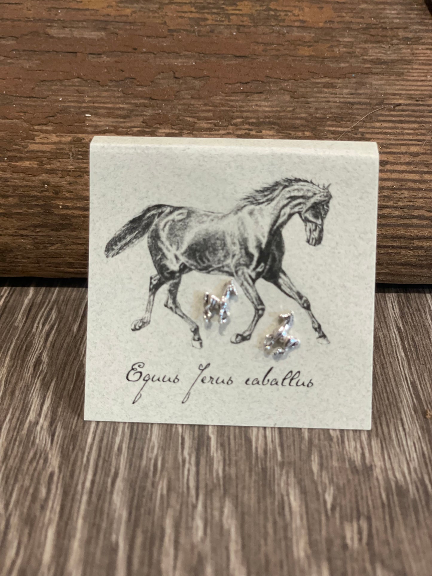 Natural History Collection