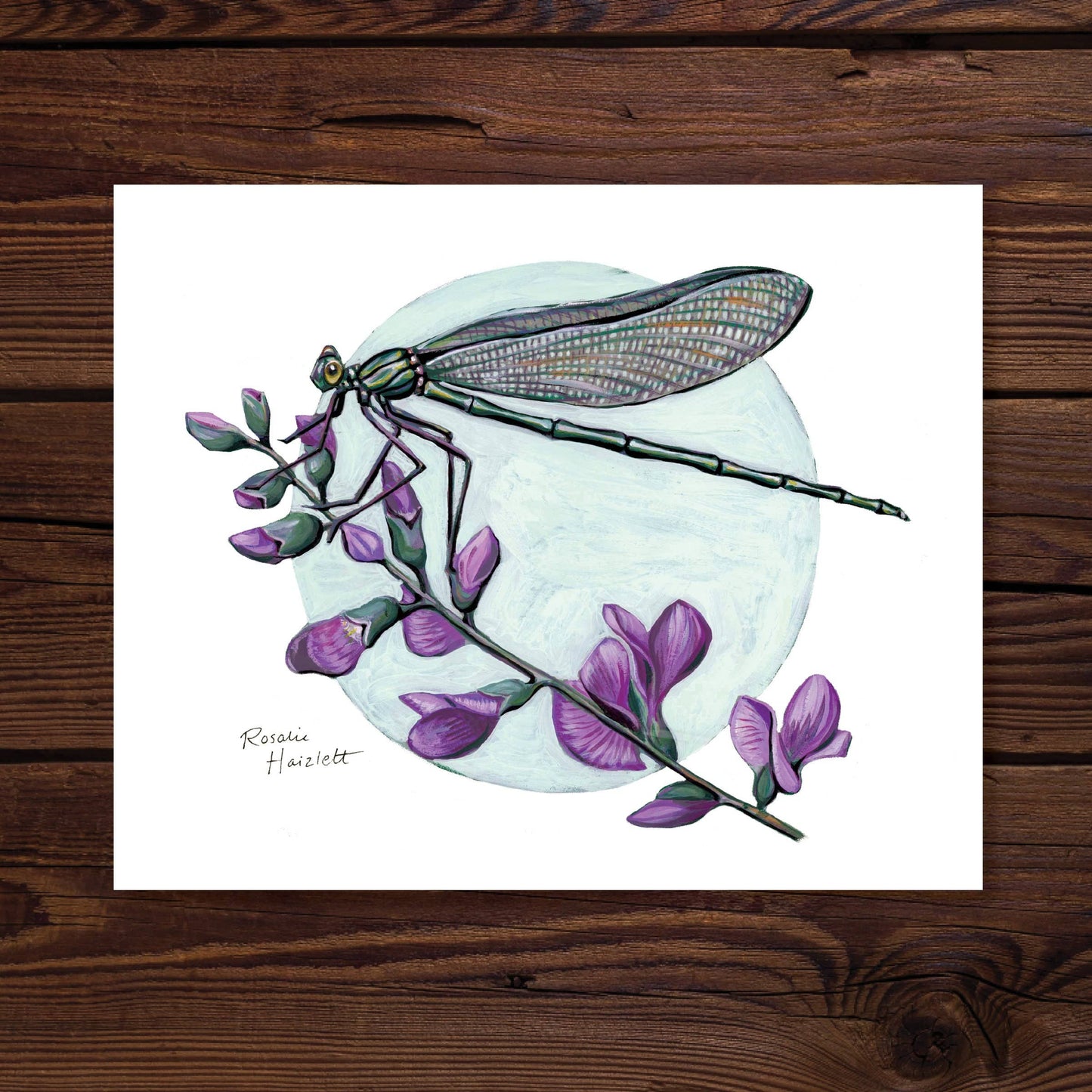 Jewelwing Damselfly - Fine Art Print