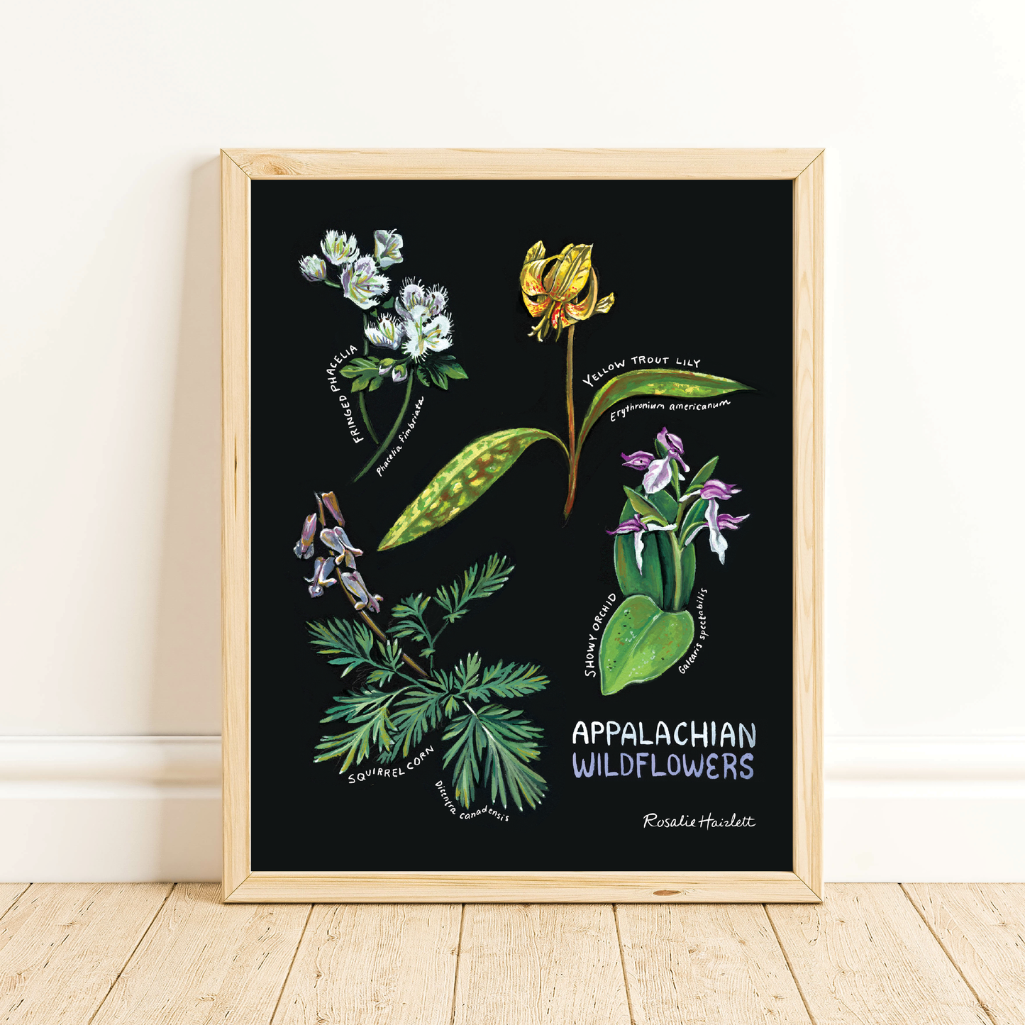 Appalachian Wildflowers Art Print