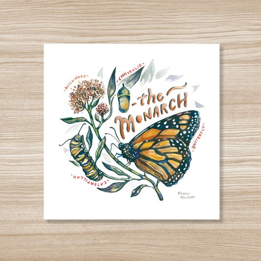Monarch Butterfly Lifecycle Watercolor Art Print