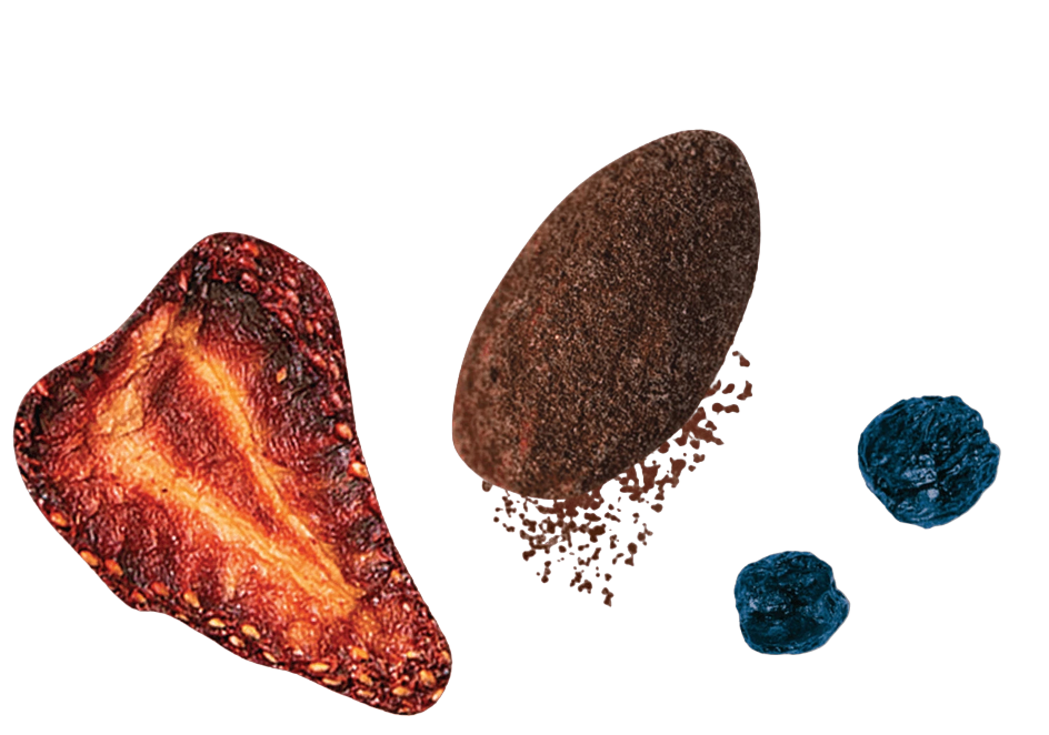 Cocoa Berry REMIX, Snack Mix - 3.5oz