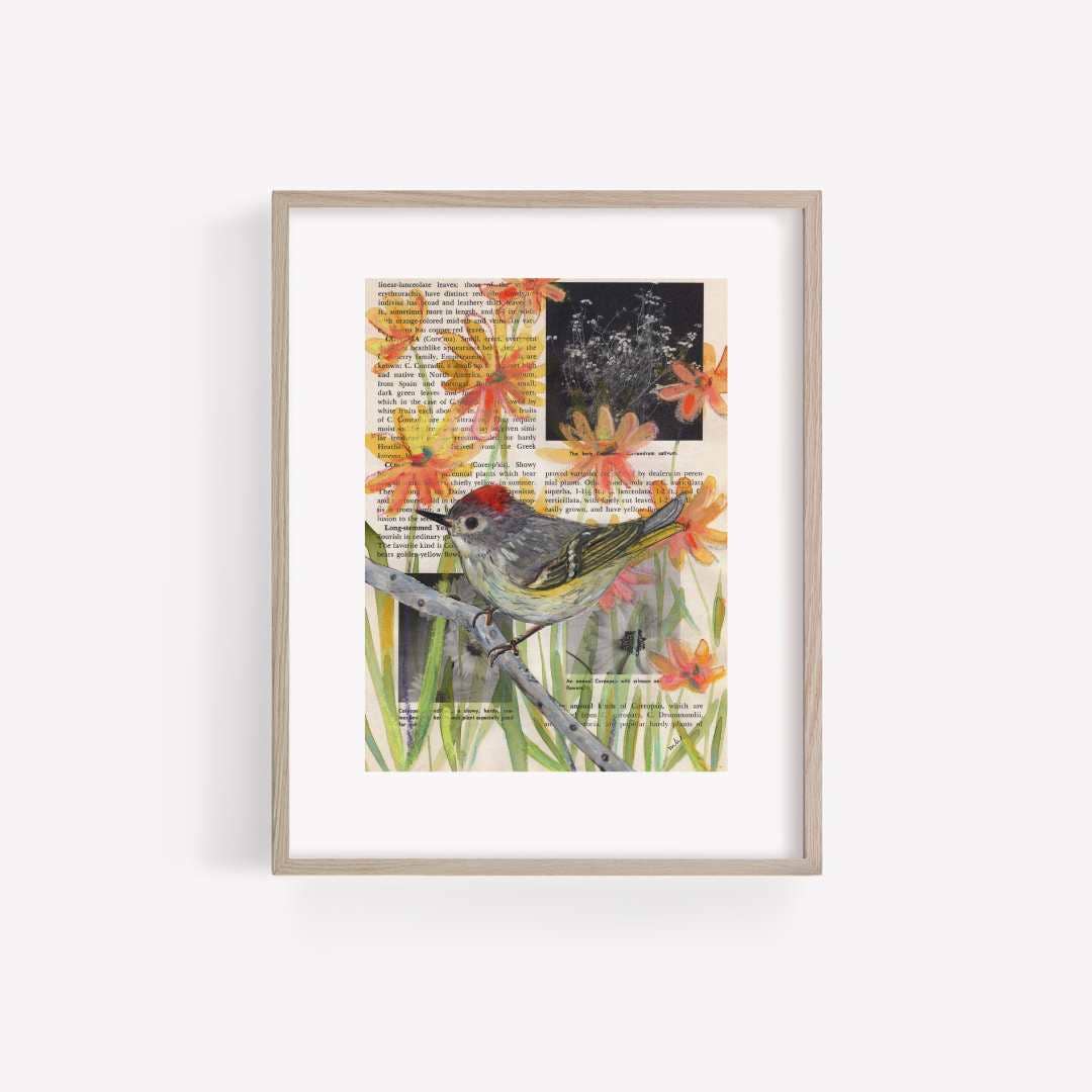 Ruby-Crowned Kinglet Mixed Media Bird Print