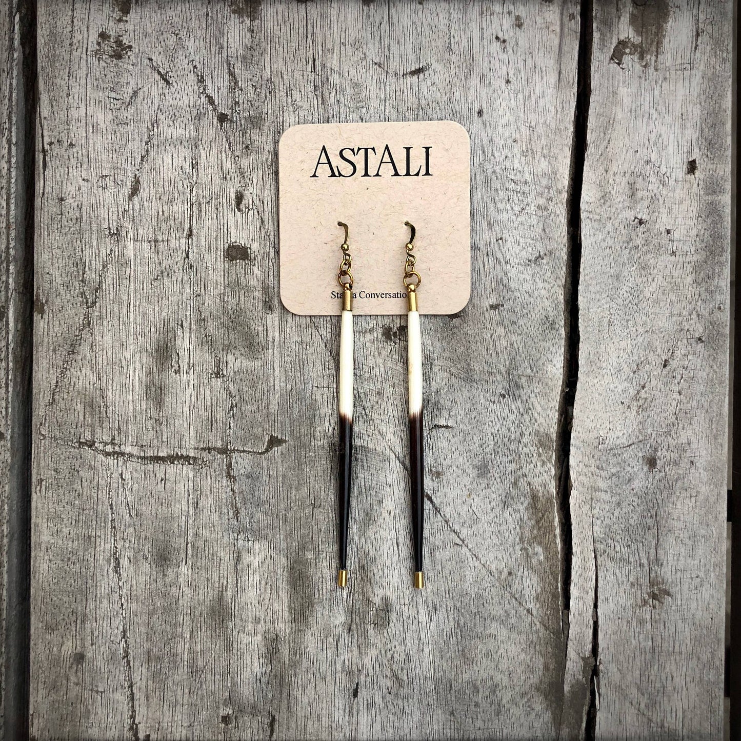 Porcupine Quill Earrings Black/Brown & Ivory, Brass